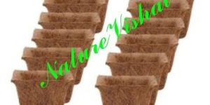 NATURE VISHAL - Spanish Cup