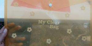 Plastic Button Clear Bag