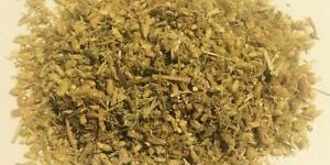 Achillea Millefolium