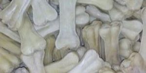 Dog Bones