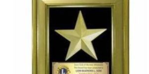Wood Gold Star Award