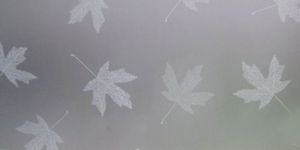 Designer Frosted Glass