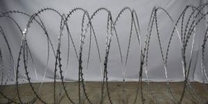 Barbed Wire