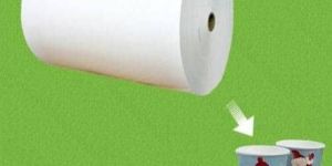 Pe Coated Paper