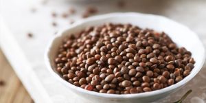 Brown Lentils
