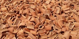 Square Removed Skin Cassia