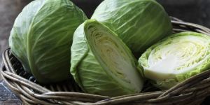 Fresh Cabbage