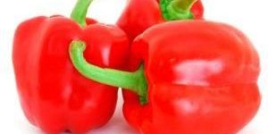 Fresh Red Capsicum