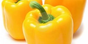 Fresh Yellow Capsicum