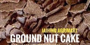 Decorticated Groundnut Oil Cake