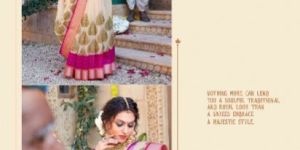 VINAMRA Silver Zari Patta Concept Vol 2 Cotton Saree