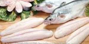 Basa Fish Fillets