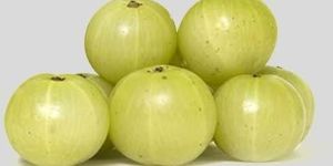 Fresh Gooseberry