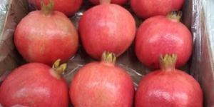 Fresh Pomegranate