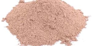 Nelumbo nucifera / Lotus