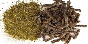 Long pepper / Piper longum / Thippiloi