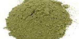 Abutilon indicum / Thuthi Ilai