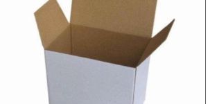 White Carton Box
