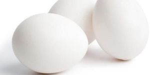 White Egg