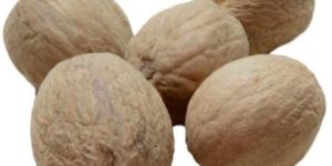 Nutmeg