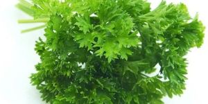Fresh Parsley