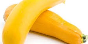 Fresh Yellow Zucchini