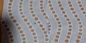 Schiffli Embroidered Fabric