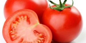 Fresh Natural Tomato