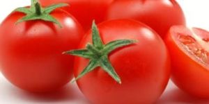 Fresh Organic Tomato