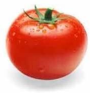 Fresh Raw Tomato