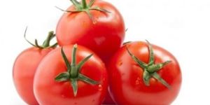 Fresh Red Tomato