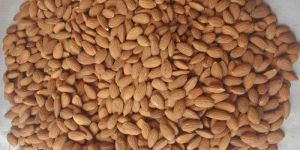 Raw Almond Nuts