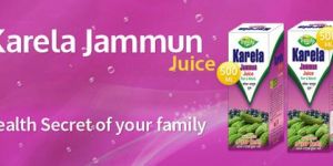 Karela Juice