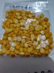Pulses Chana Daal