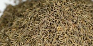 Dried Cumin Seeds