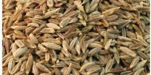 Natural Cumin Seeds