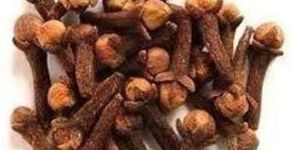 Brown Cloves