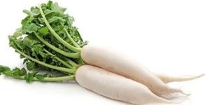 Fresh Radish