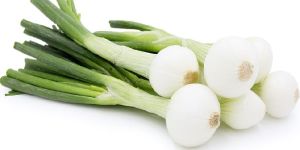 Fresh Spring Onion