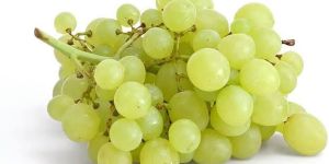 Fresh Grapes