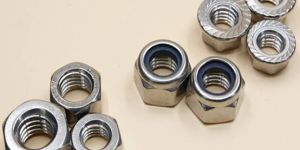 Stainless Steel Nuts