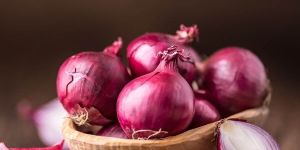Fresh Organic Red Onion