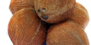 Fully Husked Coconut