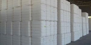 Cotton Bales
