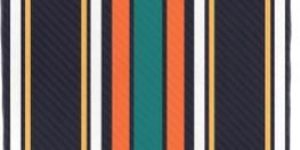 Striped Printed Fabric