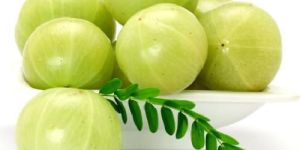 Embellica Astringent