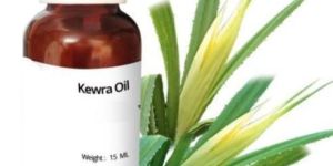 Kewra Oil