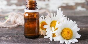 Roman Chamomile Oil