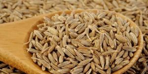 Cumin Seeds