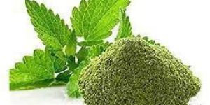 Mint Leaf Powder